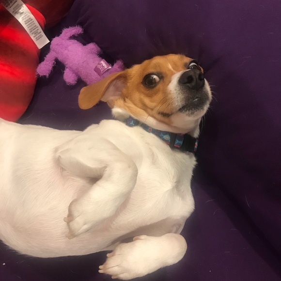 Meet your seller💕 - Picture 4 of 13